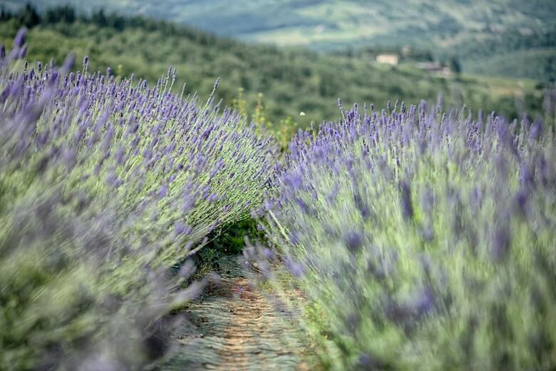 Apartamento Luxury Chianti For Four