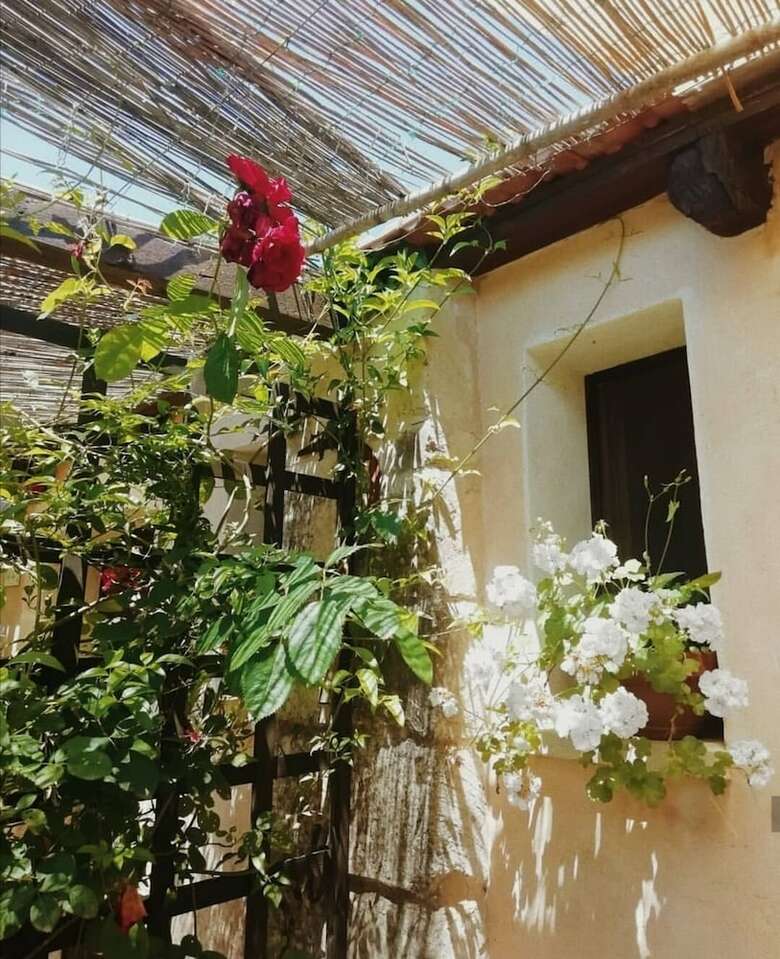 B&B La Petrusa