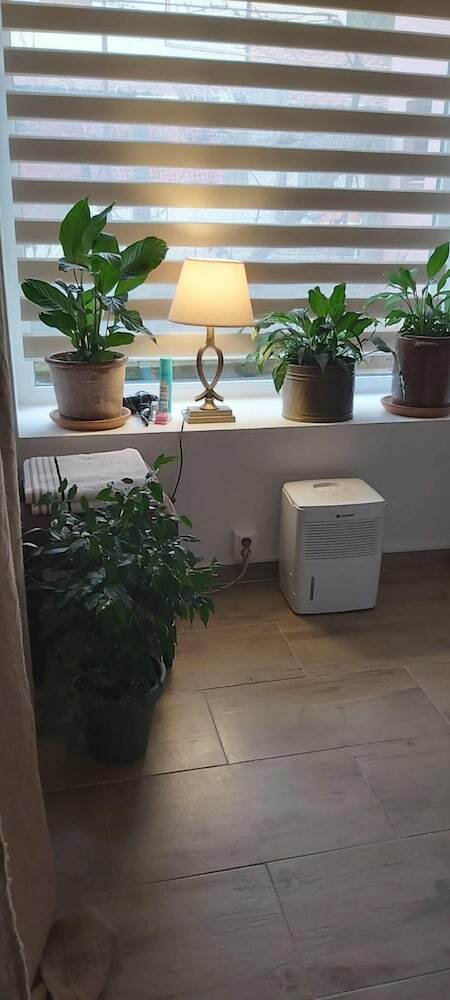 Apartamento Studio In Cluj-napoca, With Terrace And Wifi