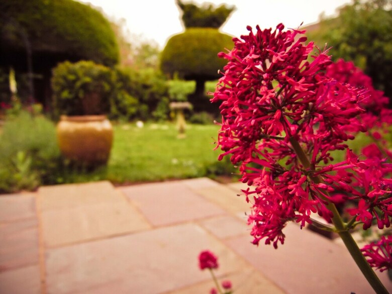 Bed & Breakfast Yew Tree House