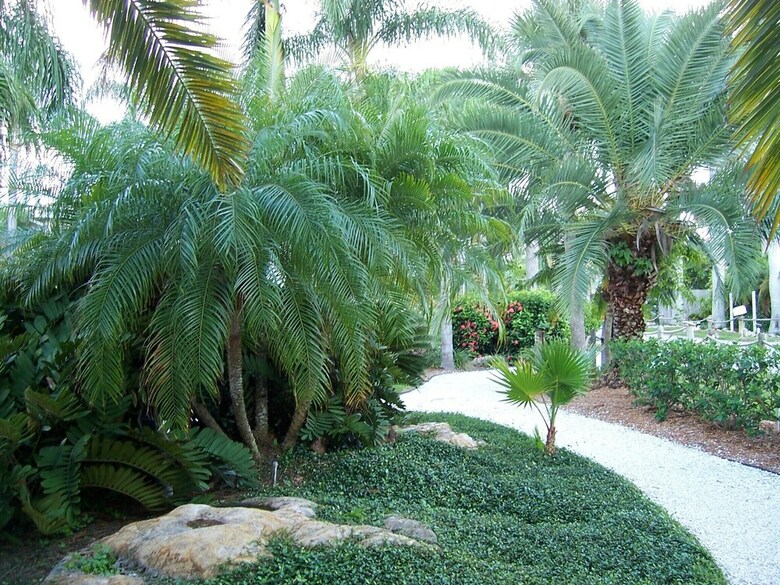 Apartamento The Conclare Beach Resort