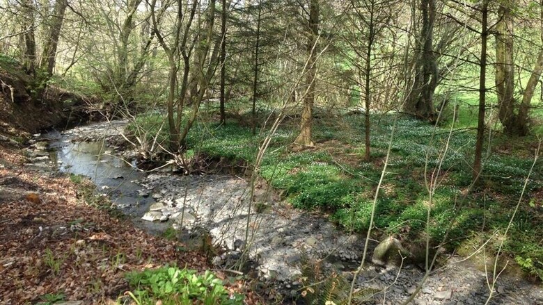 Ty Canol Pont Y Garth