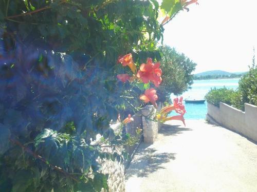 Apartments Rora