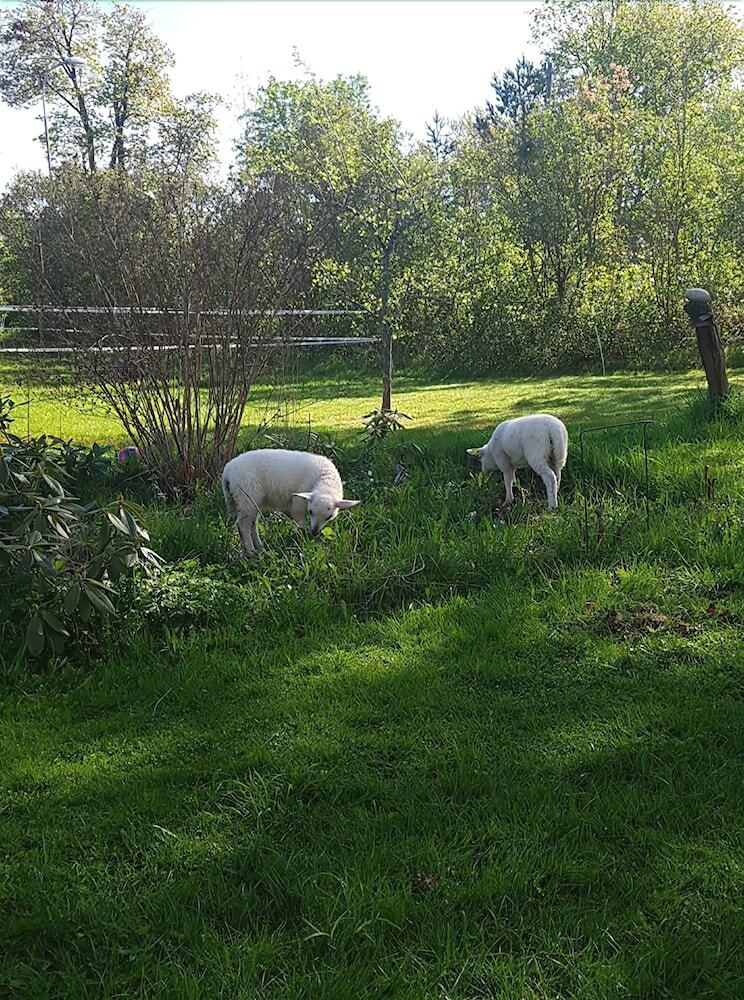 Bed & Breakfast Myskje G�rd G�stgiveri