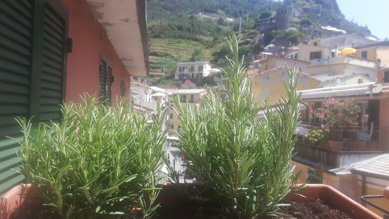 Apartamento Diara La Casa A Colori With Balcony