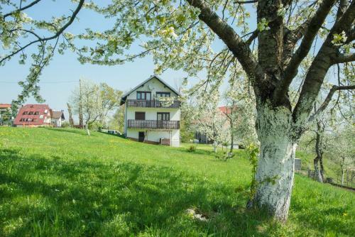 Hostal House ?pehar