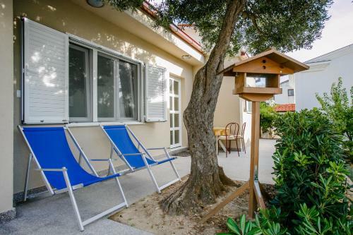 Apartments Branka