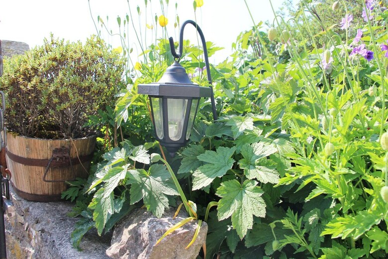 Bed & Breakfast Fernydale Farm