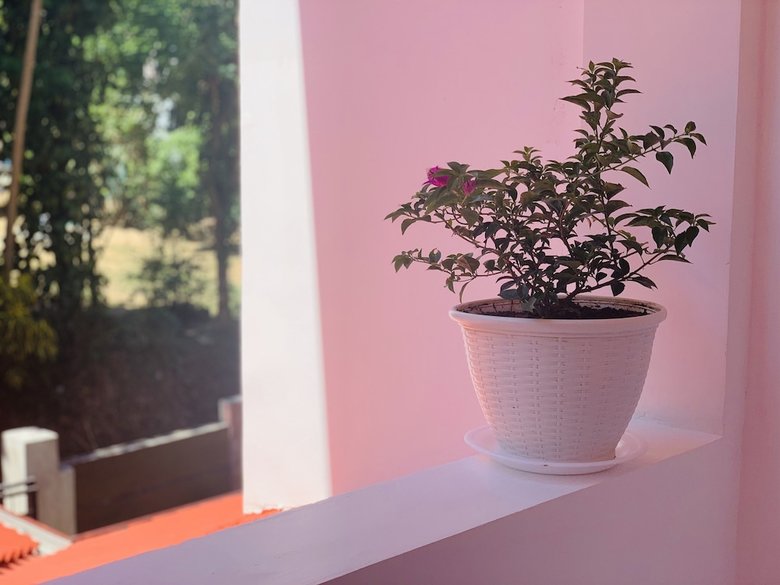Hotel Kandy Eco Paradise