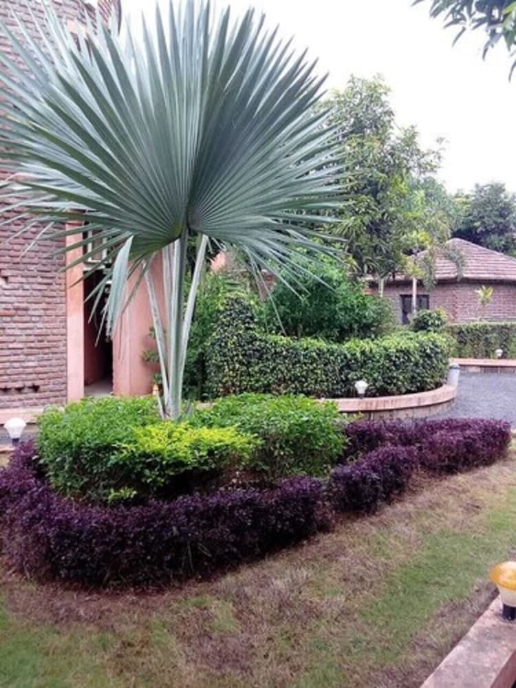 Hotel Shyam Farm House And Resort