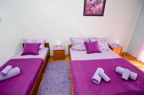 Apartments Amico