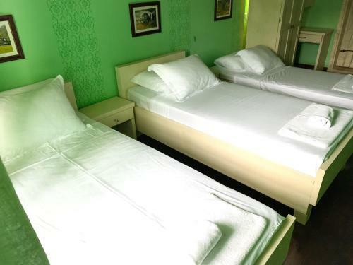 Hotel Pansion 5