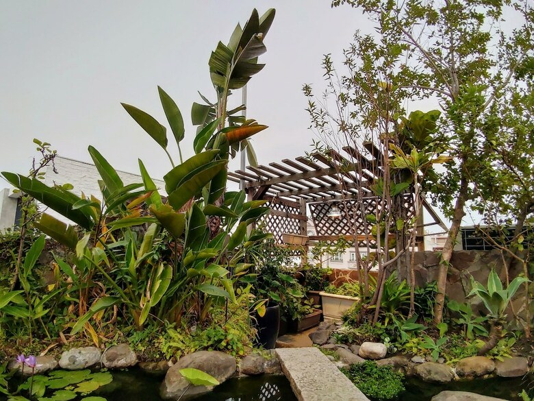 Hotel Daguli's Home