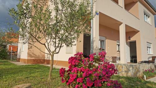 Apartments Luvija