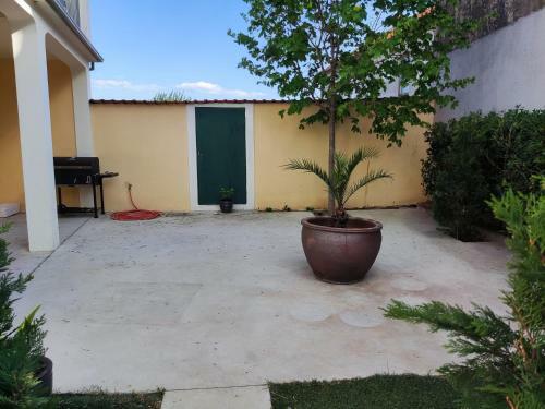 Apartamentos Casa Ogo
