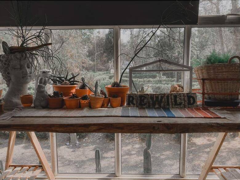 Hotel Rewild Camp And Cafe