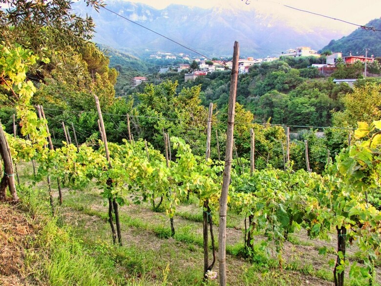 Apartamento Studio In Gragnano, With Wifi - 4 Km From The Beach