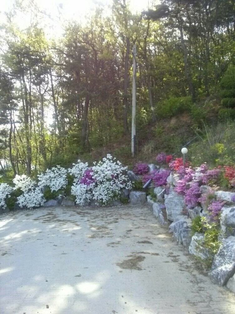 Sunshine Garden Pension