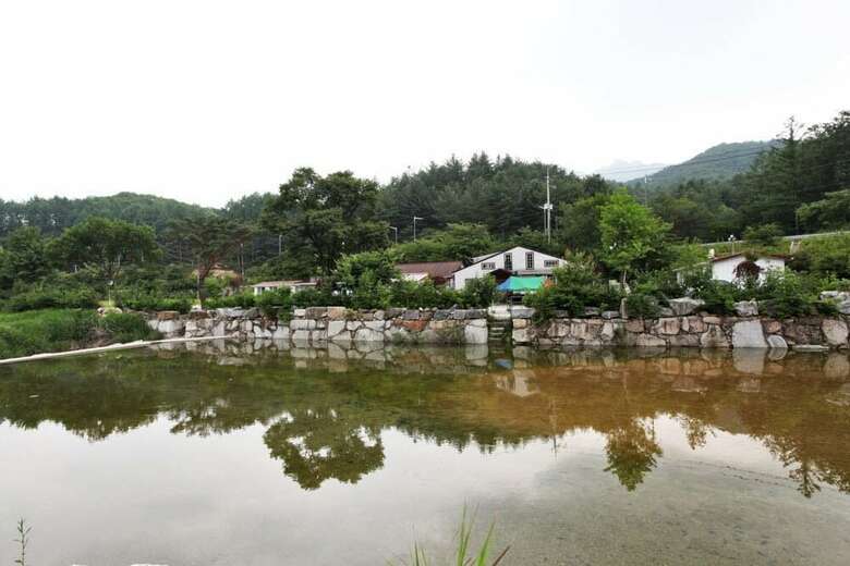 Pension Gold River Castle