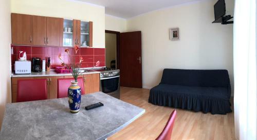 Apartmani Ana