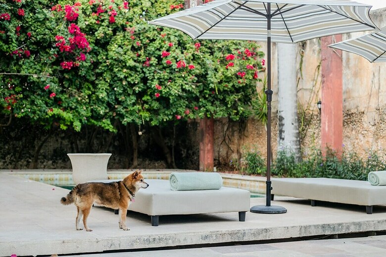 Bed & Breakfast Villa Octavia