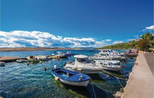 Apartment Ive Lole Ribara VI