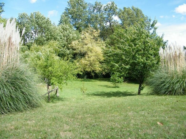 Ma Cagouille