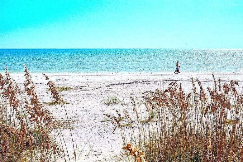 Snowbird Landing, 1 Bedroom, Pet Friendly, Sleeps 3