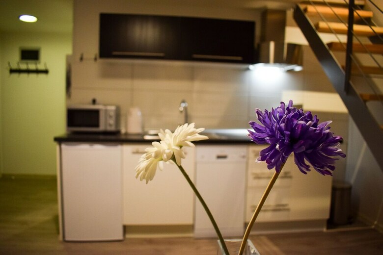 Downtown Apartments Pula