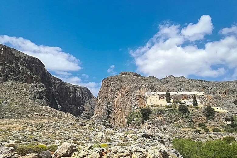 The Rock & The Lemon Tree