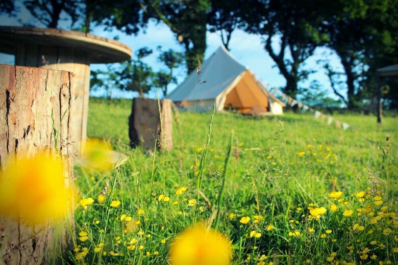 Cabana Mellow Yellow Bell Tent - Family Zone
