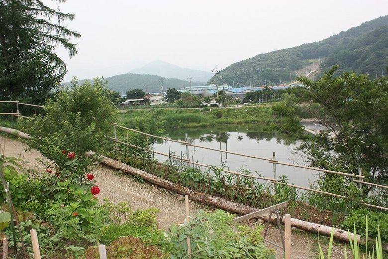 Apartamentos Caeun Pension