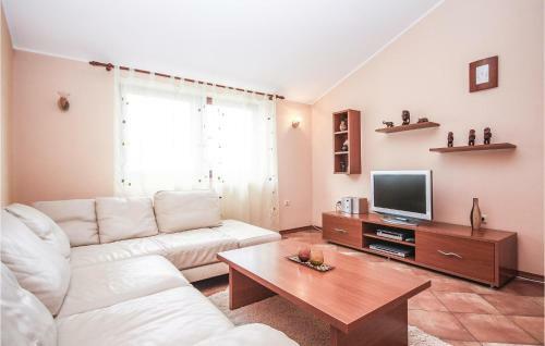 Apartment Spinciceva III
