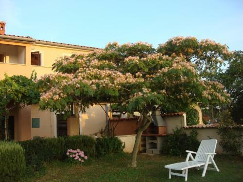 Apartamentos Bonvenon2volme Apt&room