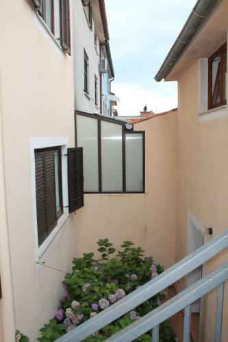 Apartments Ana