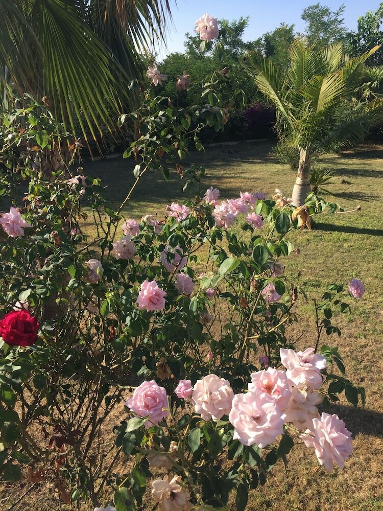 B&B Villa Pimm's