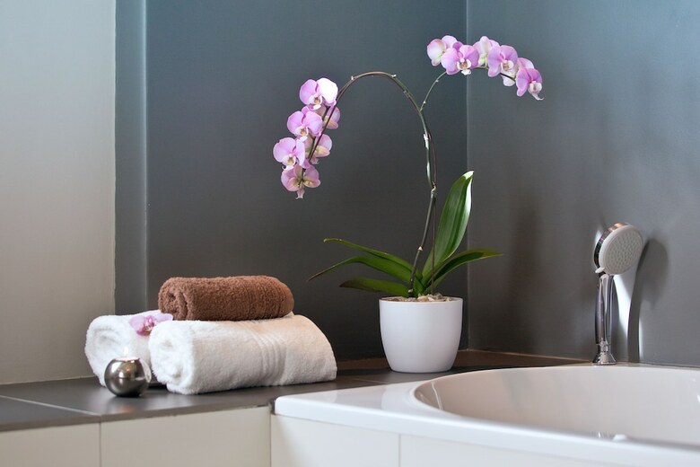 Hotel Cascade Country Manor