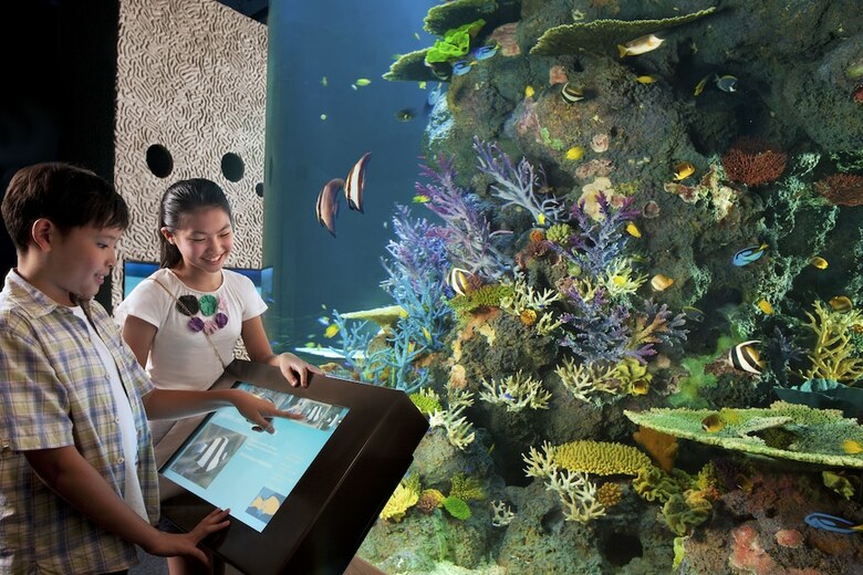 Hotel Resorts World Sentosa - Beach Villas