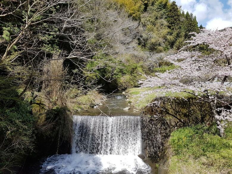Yui Valley
