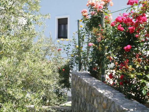 Apartamentos Villa Roze