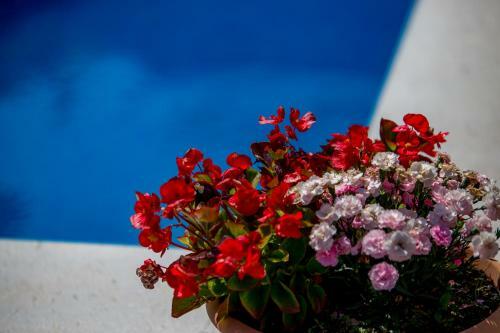 Apartments Dalia