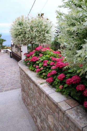 Apartments Dalia