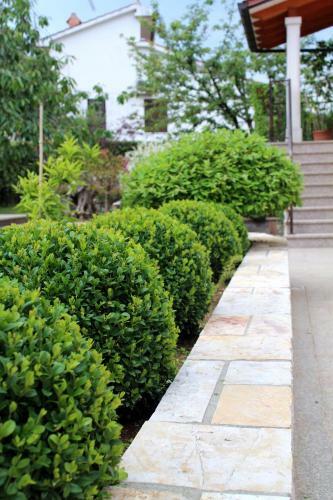 Apartments Dalia