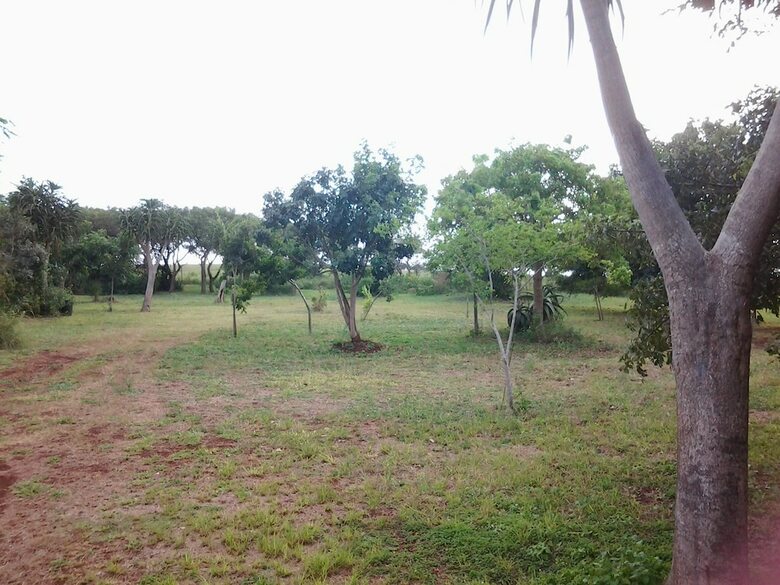 Hostal Hluhluwe Backpackers