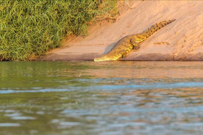 Posada Kunene River Lodge