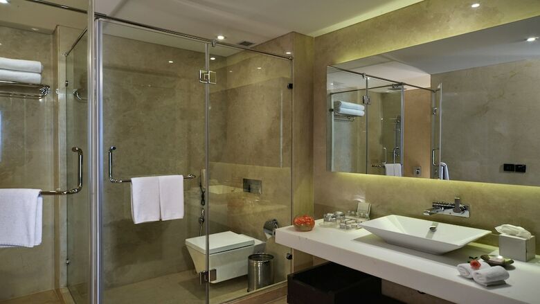 Hotel Holiday Inn Chandigarh Panchkula