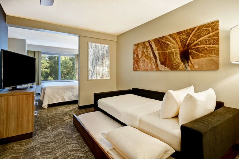 Hotel Springhill Suites By Marriott Atlanta Kennesaw