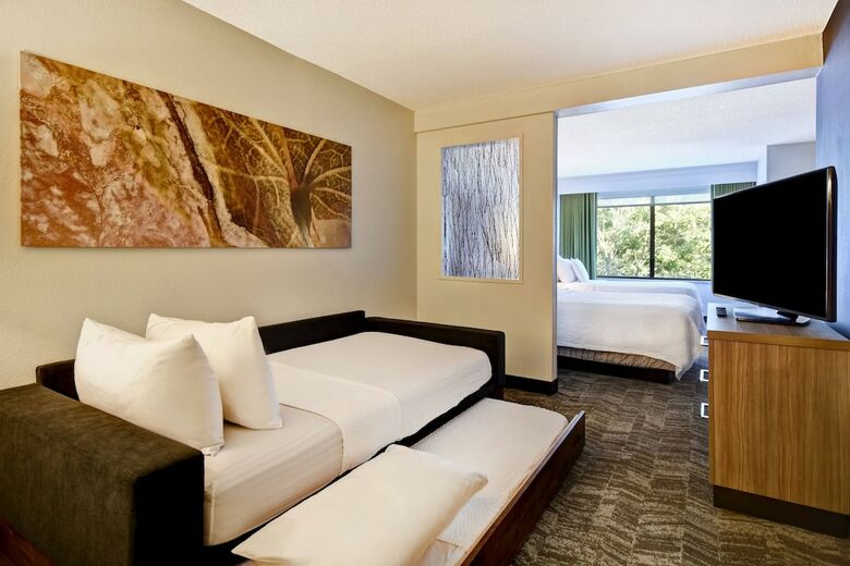 Hotel Springhill Suites By Marriott Atlanta Kennesaw