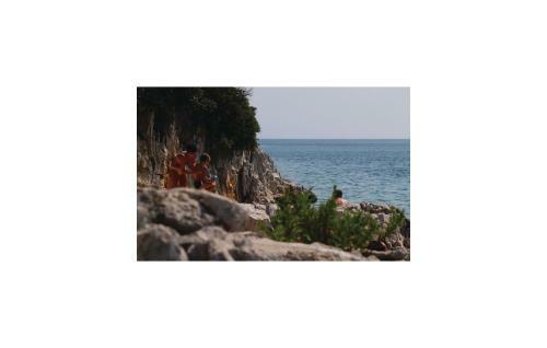 Holiday Home Barban Melnica