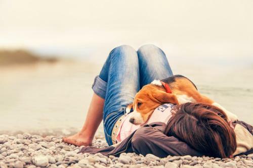 Apartamentos Cro Jet Set On The Beach